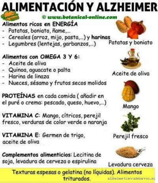 ¿Cuáles son los tres alimentos que provocan demencia? La verdad detrás del mito