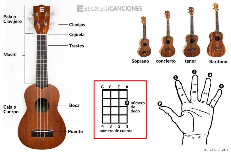 ¿Cuál es el instrumento más fácil de aprender a tocar?