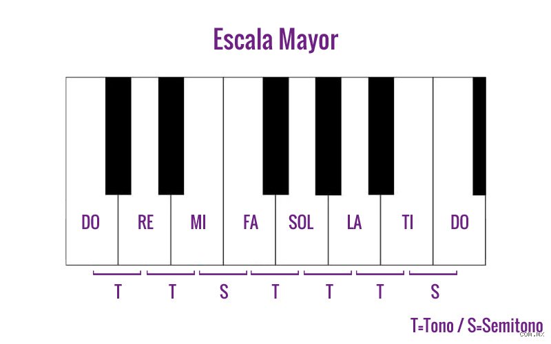 ¿Cuál es la escala más importante en la música?