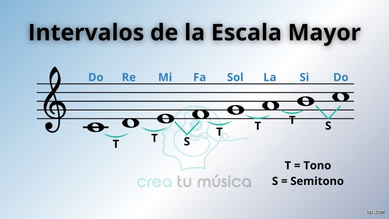 ¿Cuántos tonos tiene la escala mayor?