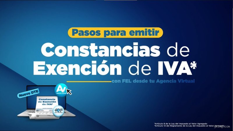 ¿Cómo obtener la exención del IVA? Guía técnica para navegar el laberinto fiscal sin morir en el intento