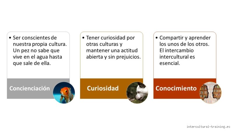 ¿Cuáles son las 3 C de la competencia y por qué tu estrategia de mercado actual está probablemente condenada al fracaso?