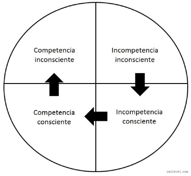 Más allá del saber hacer: ¿Cuáles son los 4 niveles de competencia y por qué ignorarlos garantiza el estancamiento profesional?