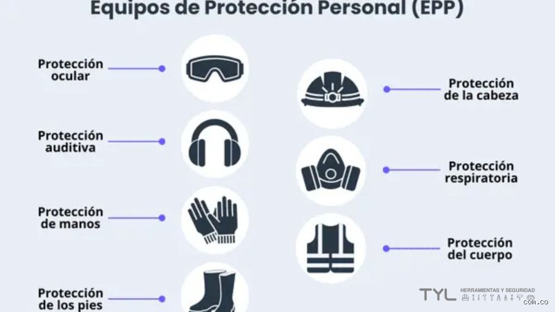 El blindaje invisible: Descifrando cuáles son los 5 elementos de una buena seguridad en un mundo hostil