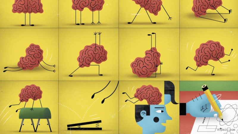 ¿Cómo ayudar al cerebro a regenerarse? Lo que la ciencia sabe (y lo que aún no)