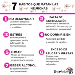 ¿Cómo evitar que se mueran las neuronas? La verdad que nadie te cuenta