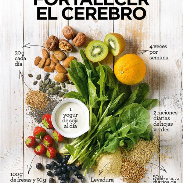 ¿Cómo fortalecer el cerebro de forma natural?