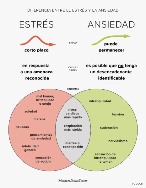 ¿Cómo puedo saber si mi ansiedad es extrema? Guía para identificar el límite donde el miedo se vuelve incapacitante