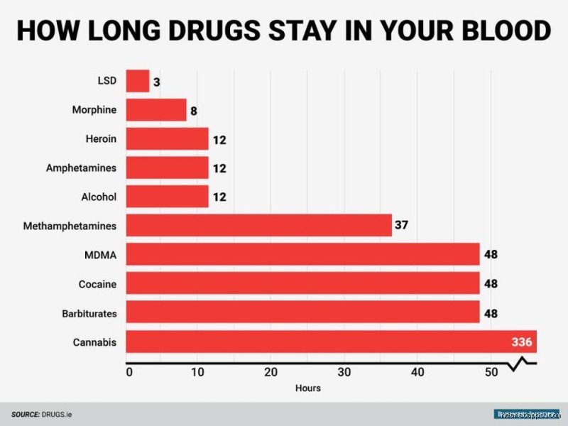 ¿Cuál es la droga que más se demora en salir del cuerpo? La respuesta definitiva sobre la permanencia de sustancias en el organismo