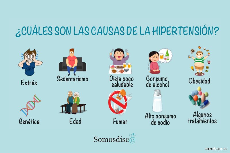 La presión arterial elevada: desentrañando el laberinto silencioso de las causas que comprometen tu salud cardiovascular hoy
