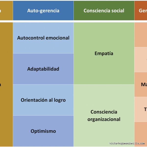 ¿Cuáles son los 4 pilares de la mentalidad que separan el éxito del estancamiento absoluto en 2026?