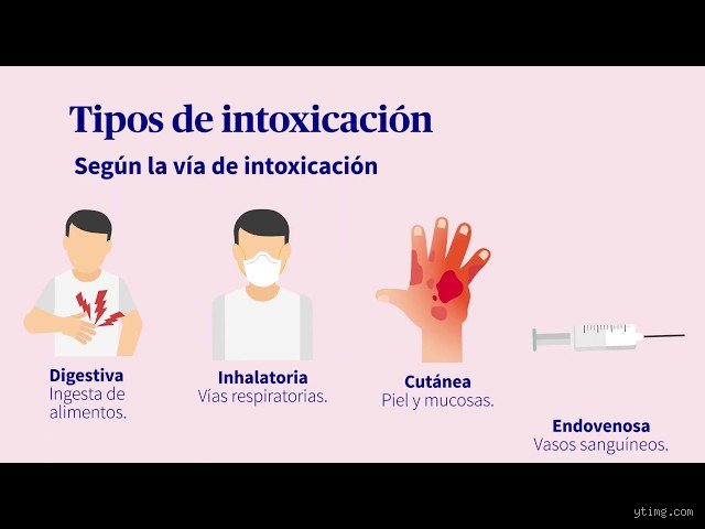 ¿Cuáles son los 4 tipos de intoxicación? Guía experta para entender los riesgos reales en 2026