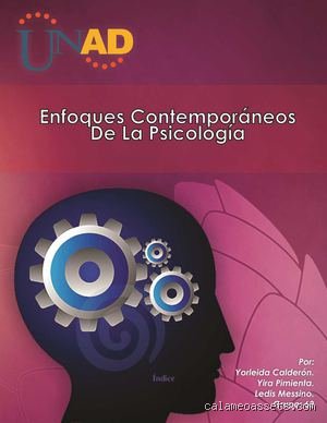 ¿Cuáles son los 6 enfoques contemporáneos de la psicología? Una radiografía exhaustiva sobre cómo entendemos la mente hoy