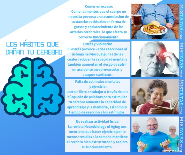 ¿Cuáles son los cuatro hábitos que dañan tu cerebro?