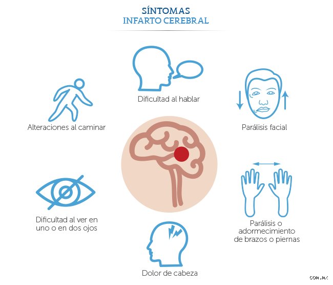 ¿Cuáles son los síntomas de un cerebro enfermo?