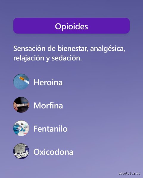 ¿Cuántos tipos de adicción hay? Un mapa para entender los laberintos modernos del cerebro y la conducta