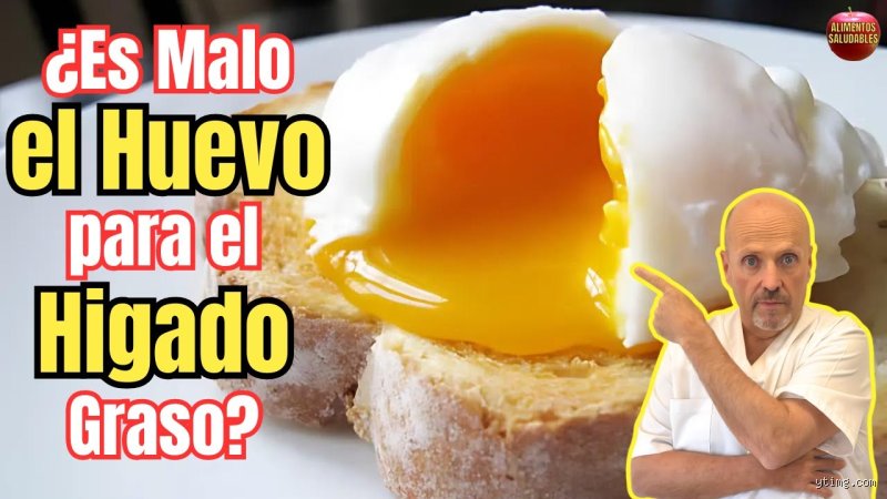 ¿El huevo es malo para el hígado graso? Mitos, verdades y la ciencia detrás del colesterol