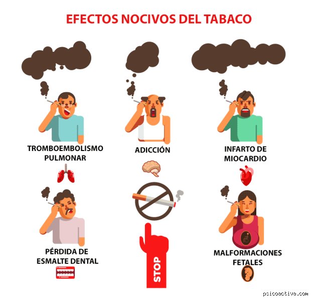 ¿Fumar nicotina reduce el coeficiente intelectual? La cruda realidad tras el humo y la neuroplasticidad en jaque