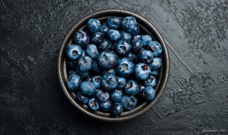 ¿Los arándanos ayudan a prevenir el Alzheimer? La verdad detrás de la "superfruta" y la memoria