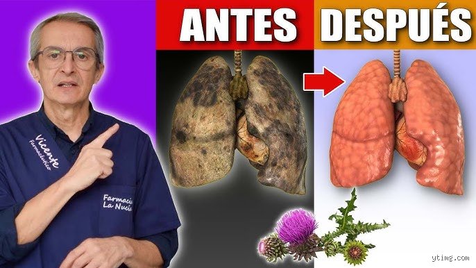 ¿Se pueden curar los pulmones dañados? La verdad que pocos se atreven a decir