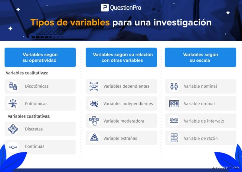 ¿Cuáles son los 10 tipos de variables que se utilizan en la investigación?