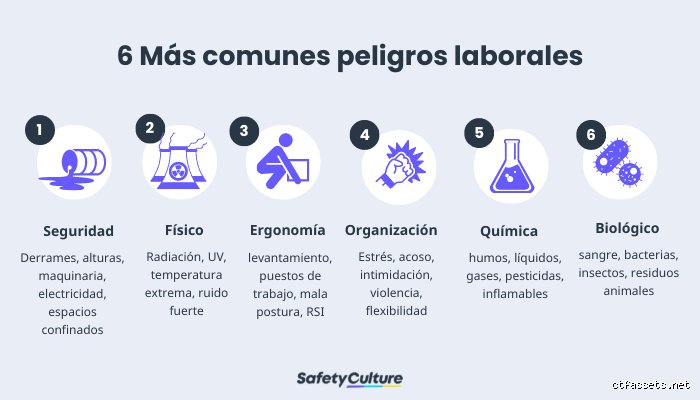 La anatomía del riesgo invisible: ¿Cuáles son los 7 peligros que amenazan la estabilidad de tu arquitectura digital hoy?