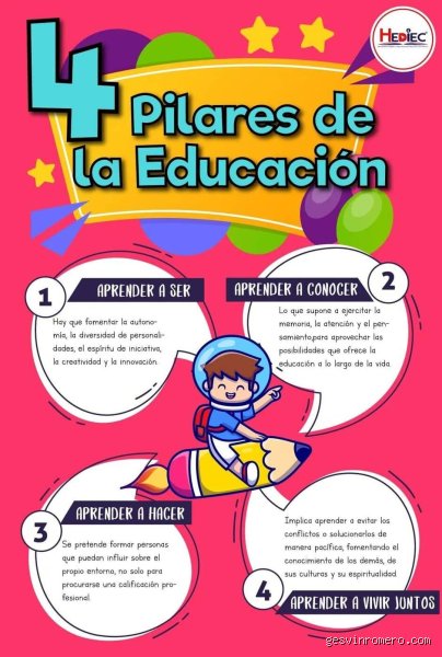 ¿Cuáles son los 4 pilares de la pedagogía y por qué el sistema educativo actual parece haberlos olvidado por completo?