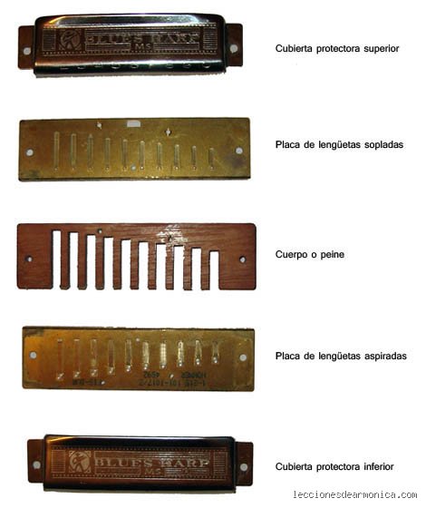 ¿Cuál es la armónica más común?