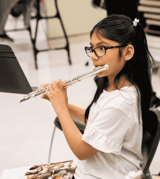 ¿Cuáles son los mejores instrumentos musicales para principiantes y cómo elegir el tuyo hoy?