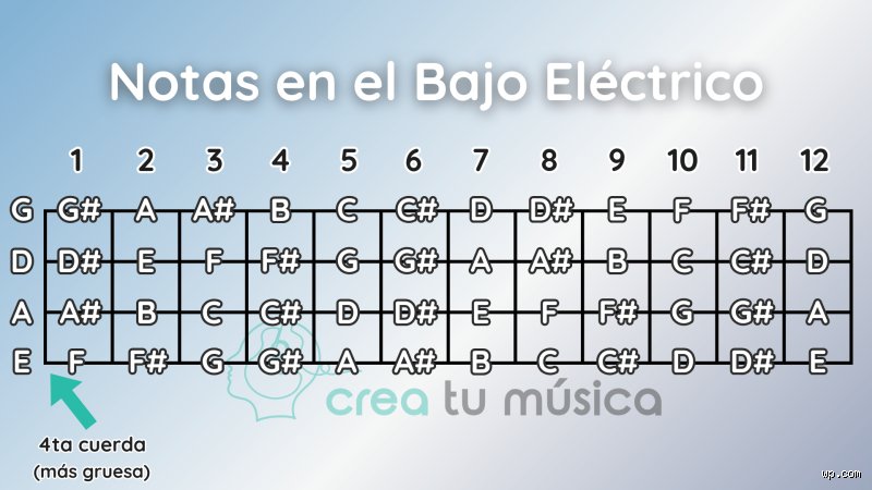 ¿Cuáles son las notas más bajas y por qué muchos las temen más de lo necesario?