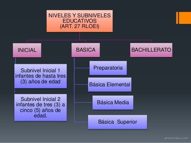 ¿Cuáles son los 3 niveles de educación que definen el futuro profesional y académico en el sistema actual?