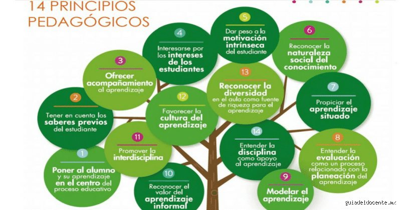 ¿Cuántos principios didácticos hay en la educación moderna y por qué no existe una cifra mágica?