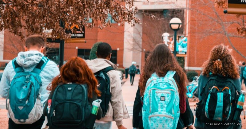 ¿Puedo entrar en Harvard a los 14 años? La realidad detrás del mito de los niños prodigio en la Ivy League