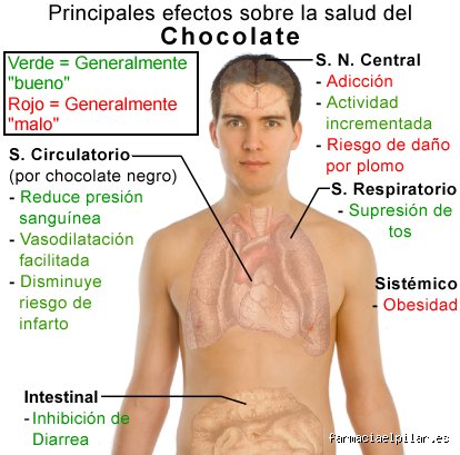 ¿Afecta el chocolate al canto? La verdad agridulce que todo vocalista profesional debería conocer antes de subir al escenario