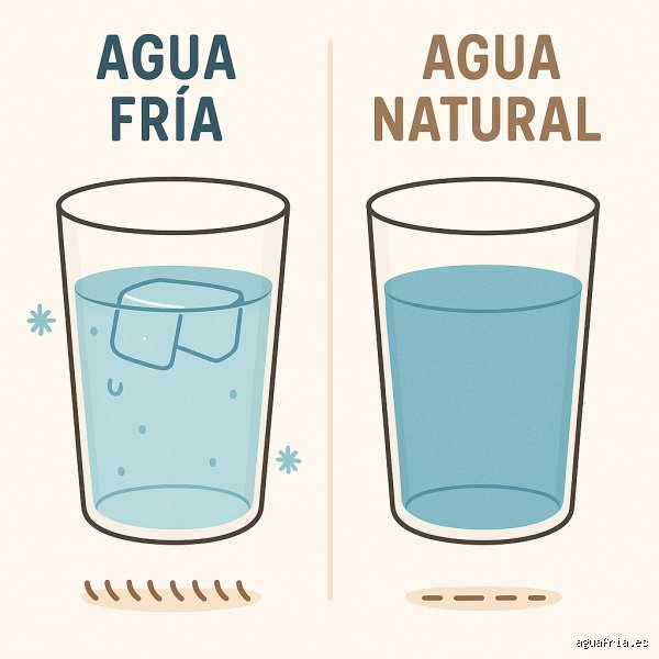 ¿Beber agua puede bajar la presión arterial? La verdad científica tras el mito del grifo y la salud cardiovascular