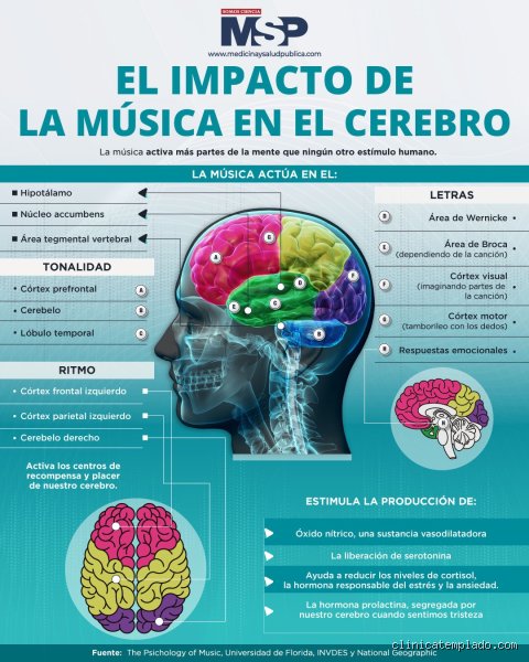 ¿Cantar es bueno para el cerebro? La ciencia tras el coro invisible que reconfigura nuestras neuronas cada vez que entonamos