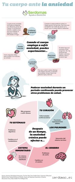 ¿Cómo afecta la ansiedad al bazo? El impacto invisible del estrés emocional crónico en nuestro filtro sanguíneo