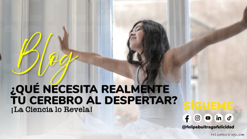 ¿Cómo consigo que mi cerebro despierte? Manual de supervivencia contra la niebla mental y el letargo cognitivo crónico