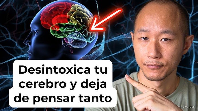 ¿Cómo desintoxicar tu cerebro? Guía científica para limpiar la fatiga mental y optimizar tus neuronas hoy mismo
