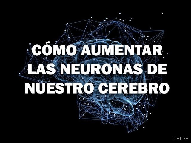 ¿Cómo despertar las neuronas dormidas? Estrategias reales frente a la ciencia de la neuroplasticidad y el mito del potencial perdido