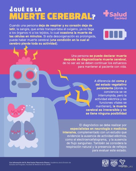 El fin del pensamiento: ¿Cómo empieza la muerte cerebral y qué sucede realmente cuando las neuronas dejan de hablarse?
