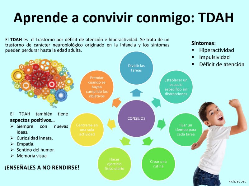 Cómo es convivir con alguien con TDAH: una guía real para sobrevivir al caos, la creatividad y los olvidos