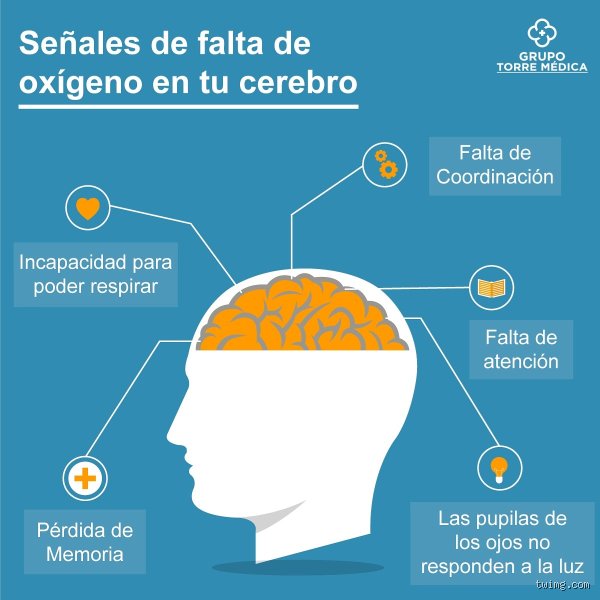 Cómo hacer llegar más oxígeno al cerebro: estrategias biológicas y hábitos radicales para potenciar tu rendimiento cognitivo hoy mismo