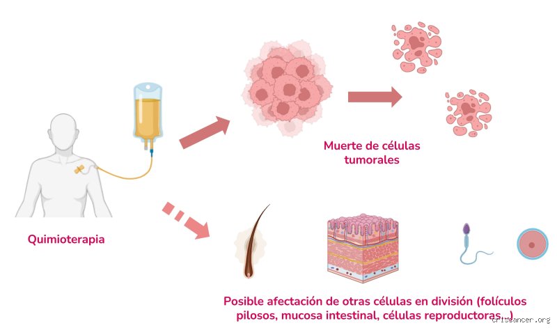 ¿Cómo hacer para que el cáncer no avance? Estrategias reales frente a la progresión tumoral y el control biológico