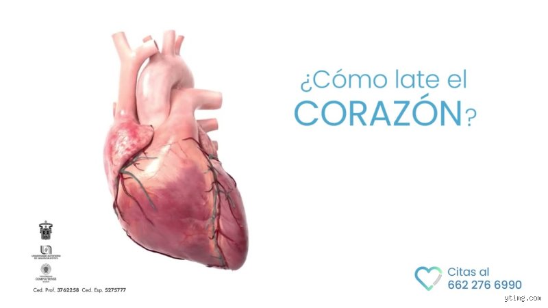 La orquesta invisible del pecho: descubre cómo late un corazón sano y por qué su ritmo no es lo que parece