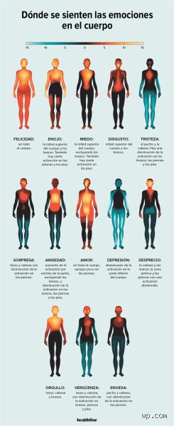 Cómo liberar las emociones atrapadas en tu cuerpo para recuperar tu vitalidad y equilibrio mental definitivo