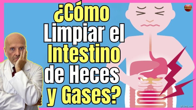 Cómo limpiar el intestino de heces y gases de forma segura: mitos, ciencia y realidades fisiológicas