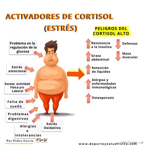 ¿Cómo me doy cuenta si tengo el cortisol alto? Guía para identificar el exceso de la hormona del estrés