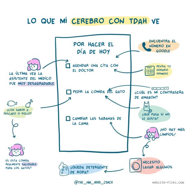 Guia definitiva sobre como organizar mi dia si tengo TDAH sin colapsar en el intento