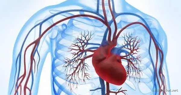 ¿Cómo puedo saber si mi corazón está recibiendo suficiente oxígeno? Señales silenciosas y realidades médicas que ignoramos